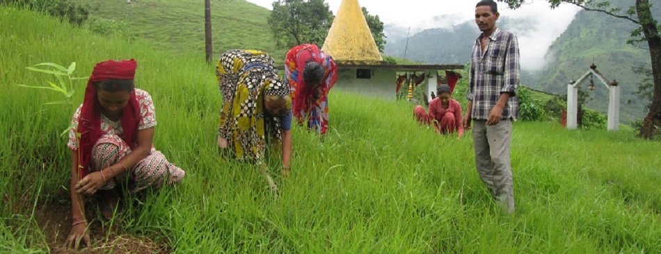 <span class='tit'>Environment</span> <br /><span class='desc'> The natural environment encompasses all living and non-living things occurring naturally on Earth or some region thereof. It is an environment that...</span> Environment