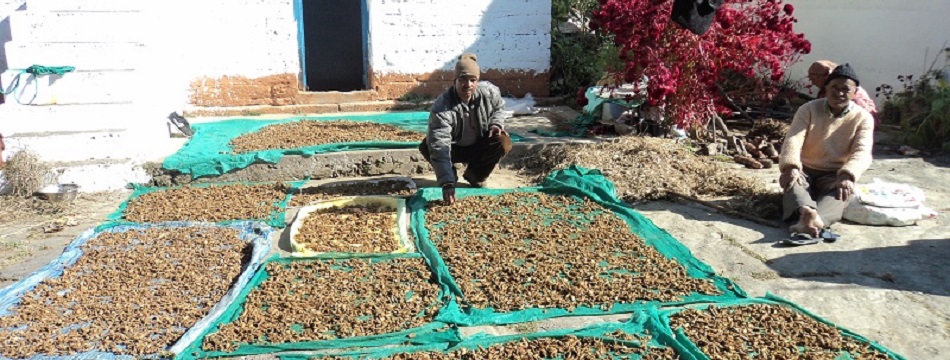<span class='tit'>Livelihood activities</span> <br /><span class='desc'> Promoting resource based enterprises to enhance income of local community to bring quality into their lives. Organizing rural primary producers into...</span> Livelihood activities